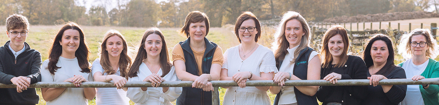 Hands-on, responsive and proactive accountancy and tax advice